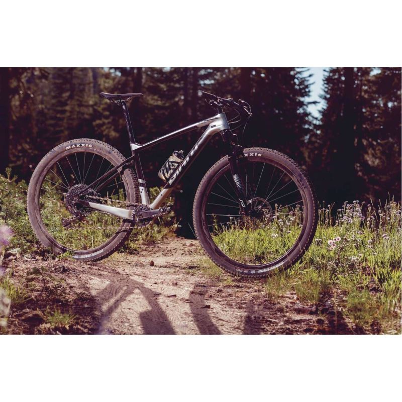 Bicicleta MTB GIANT XTC Advanced 3 29'' Metallic Green M - Giant
