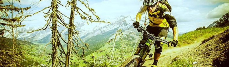 Premiile MAVIC în 2015