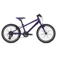 Bicicleta Copii GIANT ARX 20" Purple 2021
