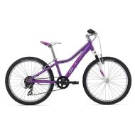 Bicicleta copii GIANT AREVA 2 24" 2015 