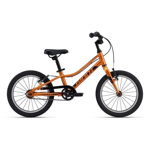 Bicicleta Copii GIANT ARX 16 F/W 16'' 