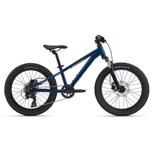 Bicicleta Copii GIANT STP 20"er FS Blue Palace