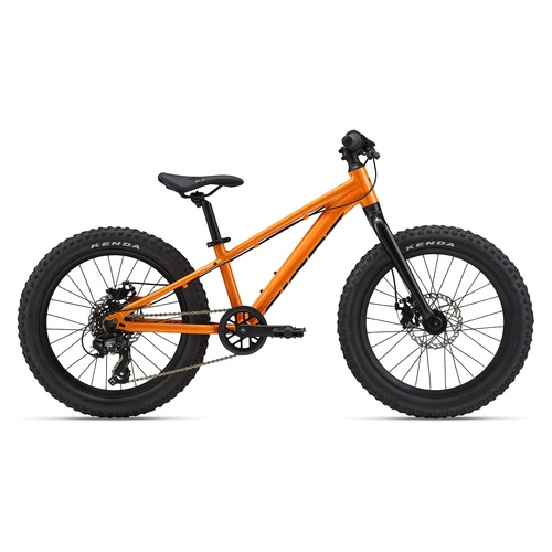 Bicicleta Copii GIANT STP 20"er Sandstorm 2024