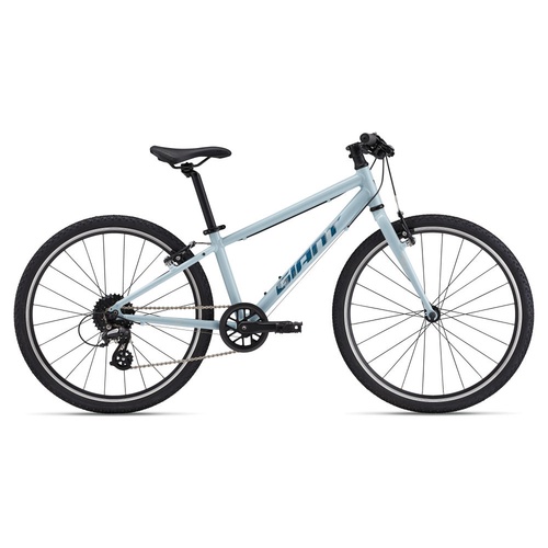 Bicicleta Copii GIANT 2025 ARX 24"er Soap Suds