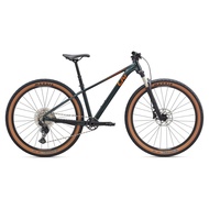 Bicicleta Femei MTB GIANT Liv 2025 Tempt 29"er 0 Asphalt Green
