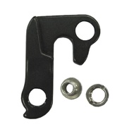 Dropout GS8245/30/31 Replace End Set RE9GA